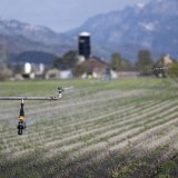 Le mois d'août 2025 a été le mois le plus sec en Europe et sur le pourtour méditerranéen depuis 2012. KEYSTONE/GIAN EHRENZELLER